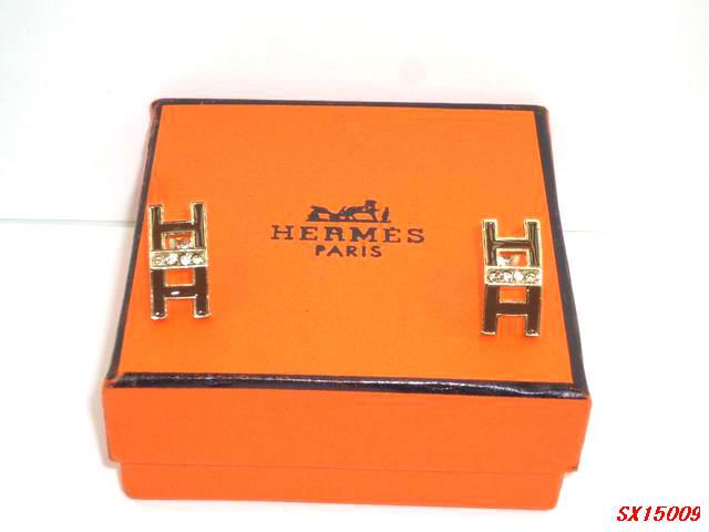 Hermes Earrings 49